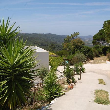 A Perfect Villa With Pool Terrace And Garden Alcobaça Kültér fotó