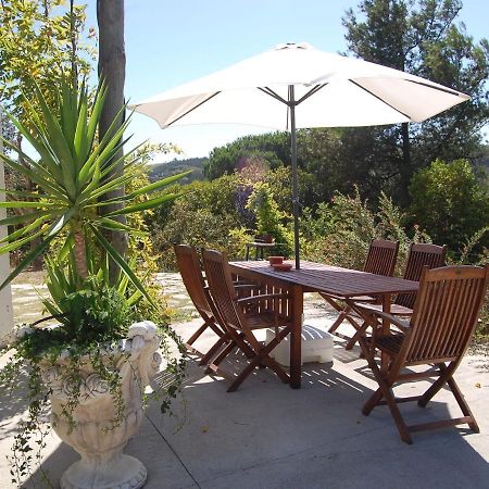A Perfect Villa With Pool Terrace And Garden Alcobaça Kültér fotó