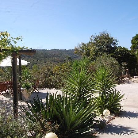 A Perfect Villa With Pool Terrace And Garden Alcobaça Kültér fotó