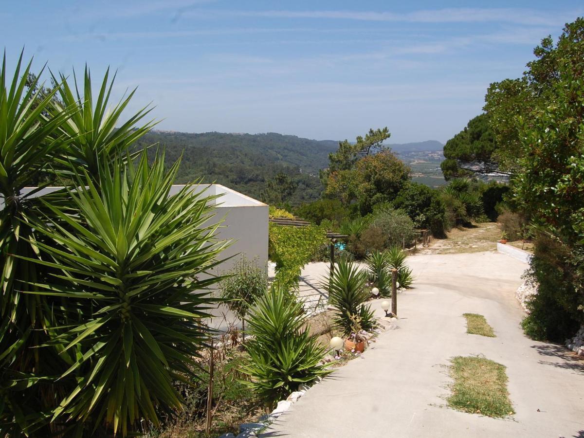 A Perfect Villa With Pool Terrace And Garden Alcobaça Kültér fotó