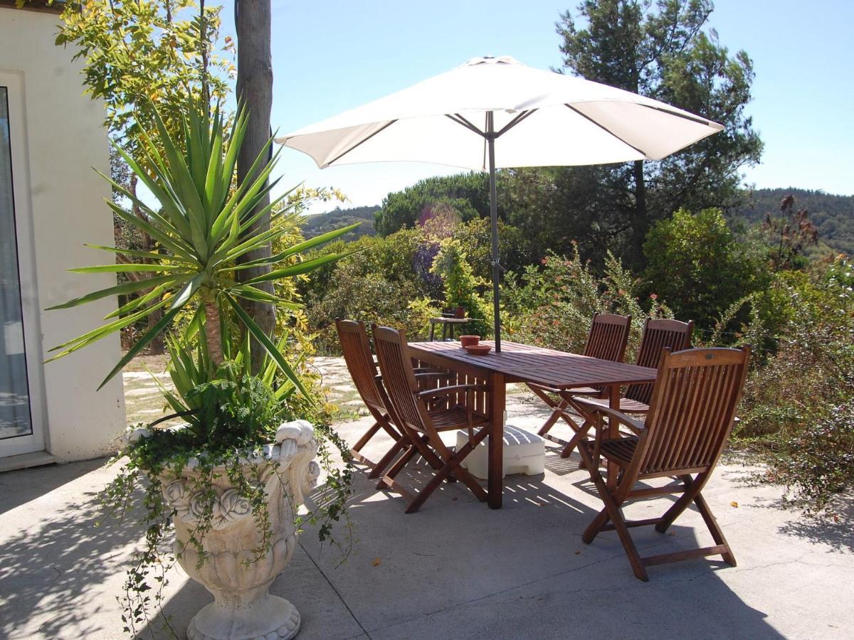 A Perfect Villa With Pool Terrace And Garden Alcobaça Kültér fotó