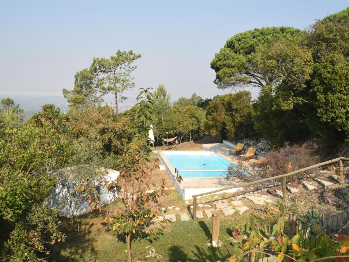 A Perfect Villa With Pool Terrace And Garden Alcobaça Kültér fotó