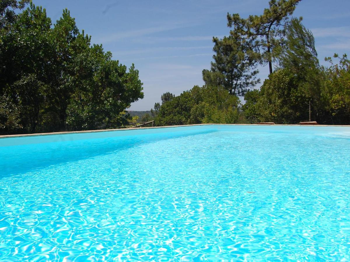 A Perfect Villa With Pool Terrace And Garden Alcobaça Kültér fotó