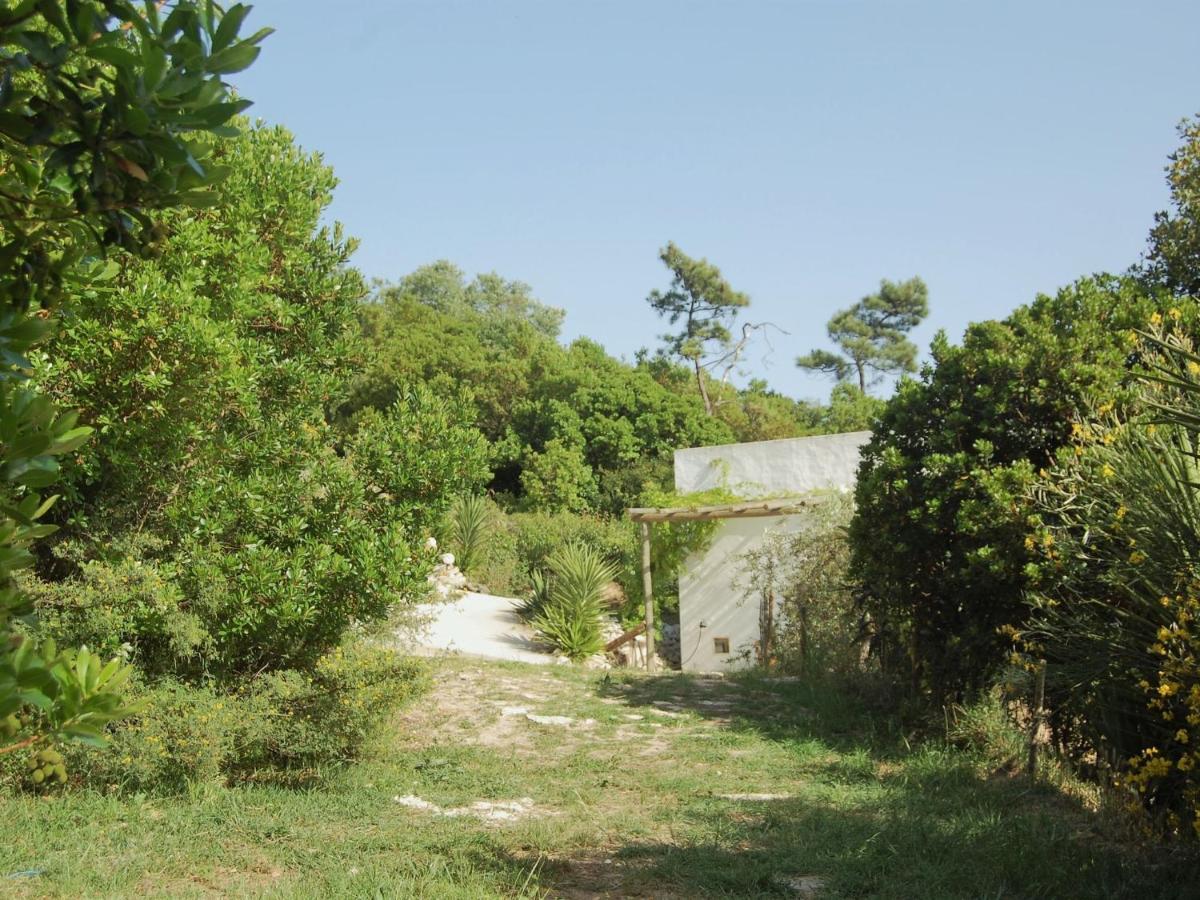 A Perfect Villa With Pool Terrace And Garden Alcobaça Kültér fotó