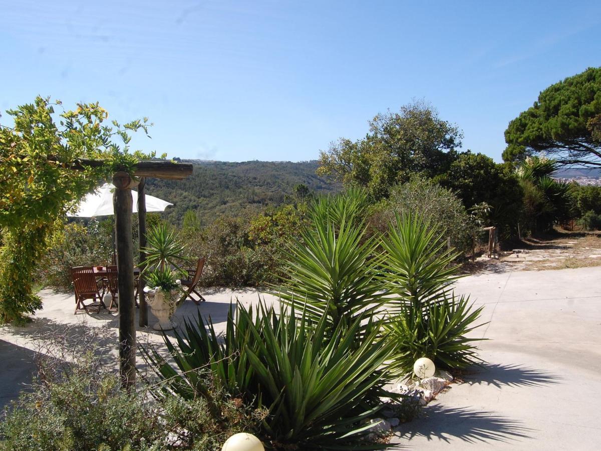 A Perfect Villa With Pool Terrace And Garden Alcobaça Kültér fotó