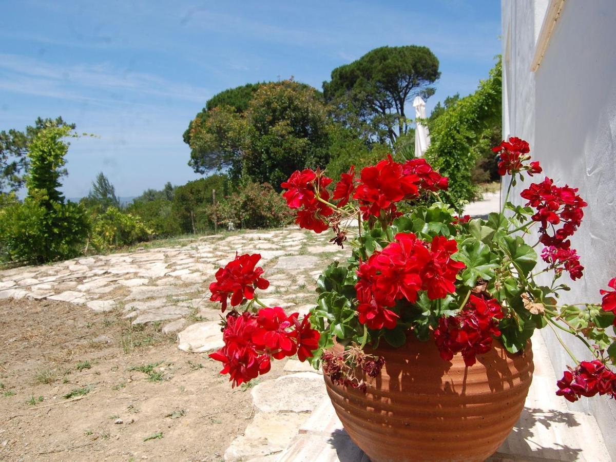 A Perfect Villa With Pool Terrace And Garden Alcobaça Kültér fotó