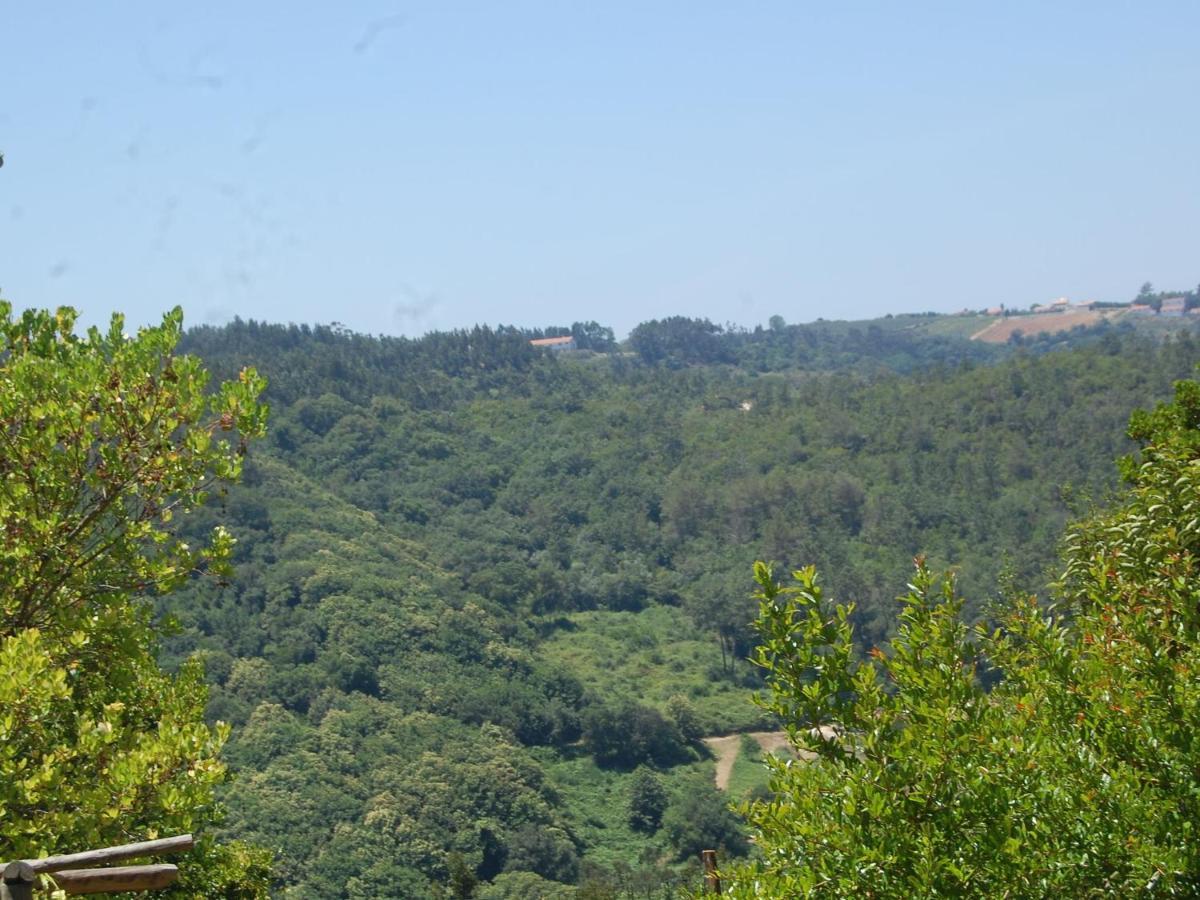A Perfect Villa With Pool Terrace And Garden Alcobaça Szoba fotó